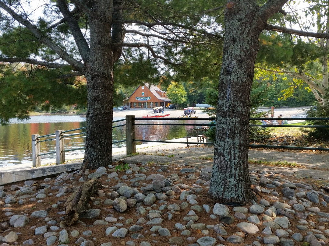 Algonquin Provincial Park景点图片