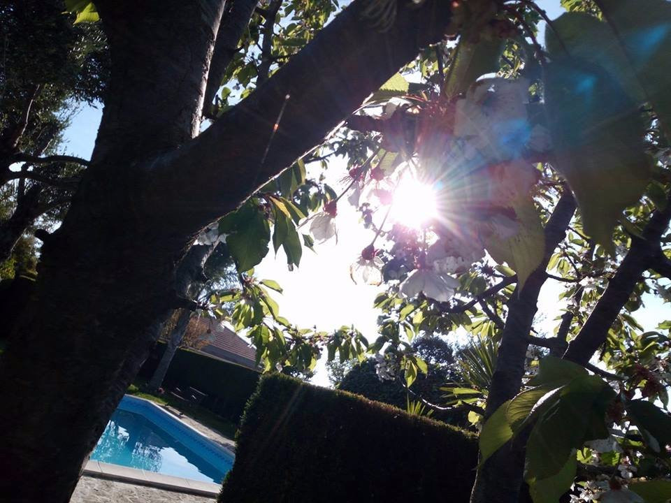 Sant'Alfio酒店住宿-Bed and Breakfast Et.Ma