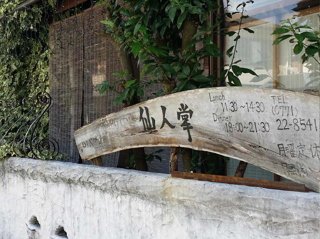 Bistro仙人掌
