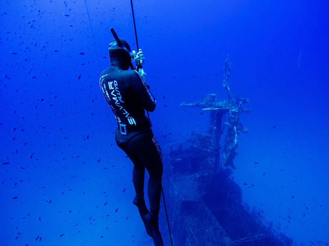 Apnea Total Malta - Freediving School-圣保罗湾城必去景点