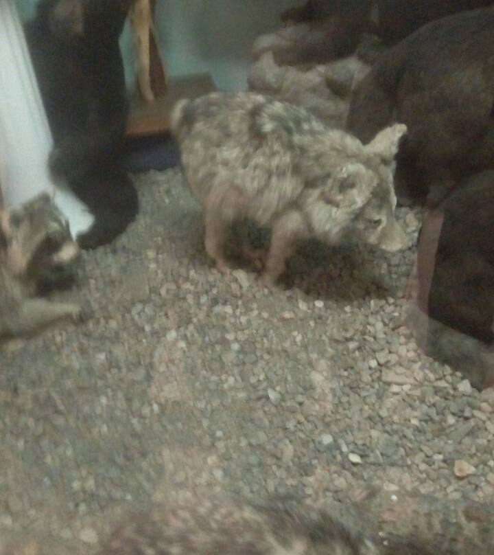 Lloydminster Museum + Archives-劳埃德明斯特必去景点