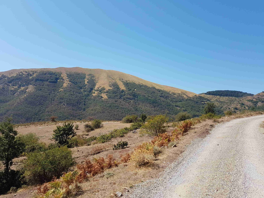 E-bike Adventure Tour景点图片