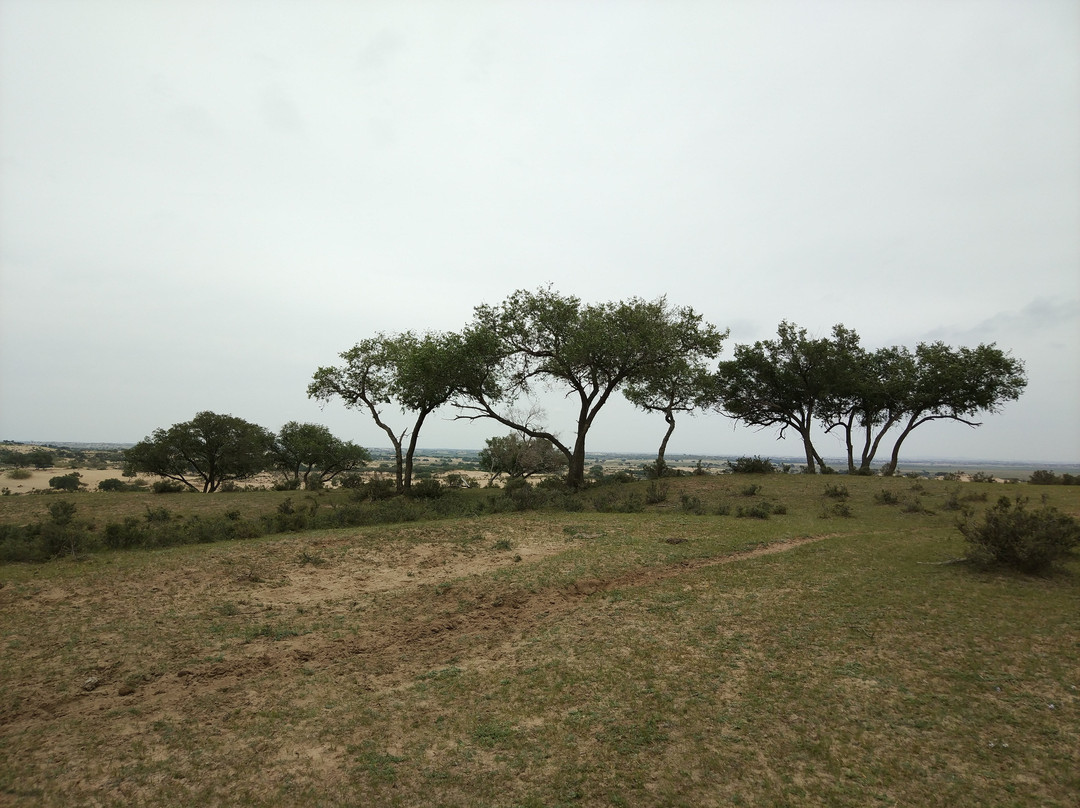金莲川草原-正蓝旗必去景点