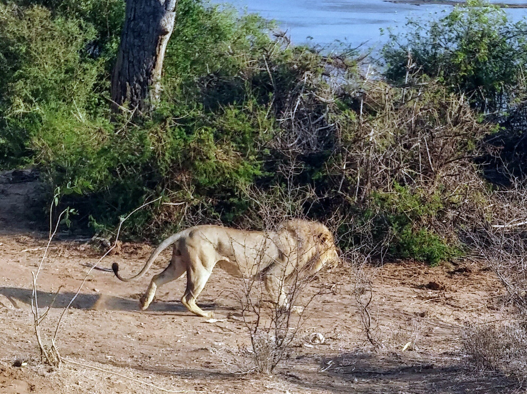 Sognando il Kenya-马林地必去景点