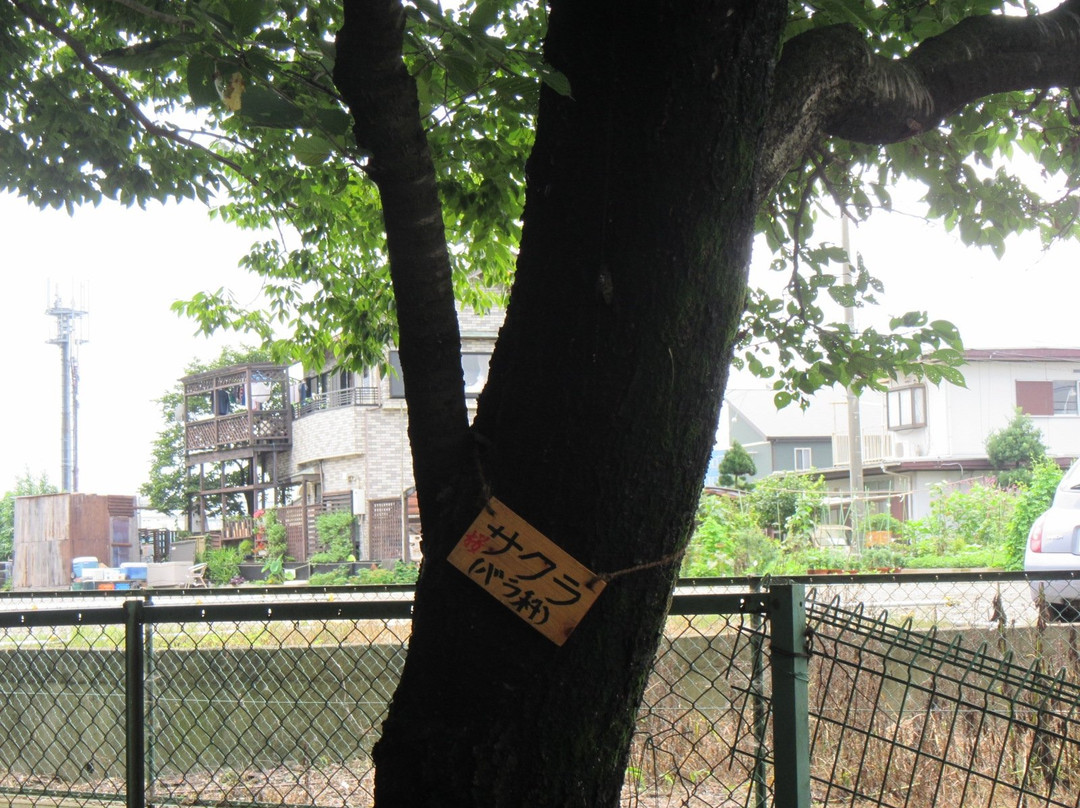 Former Mekujiri River Furusato Pedestrian Path-寒川町必去景点