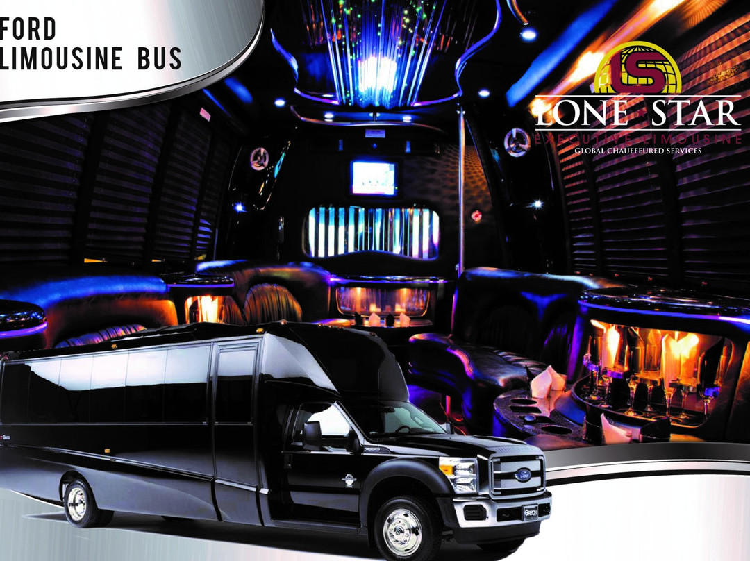 Lone Star Executive Limousine-伍德兰兹必去景点