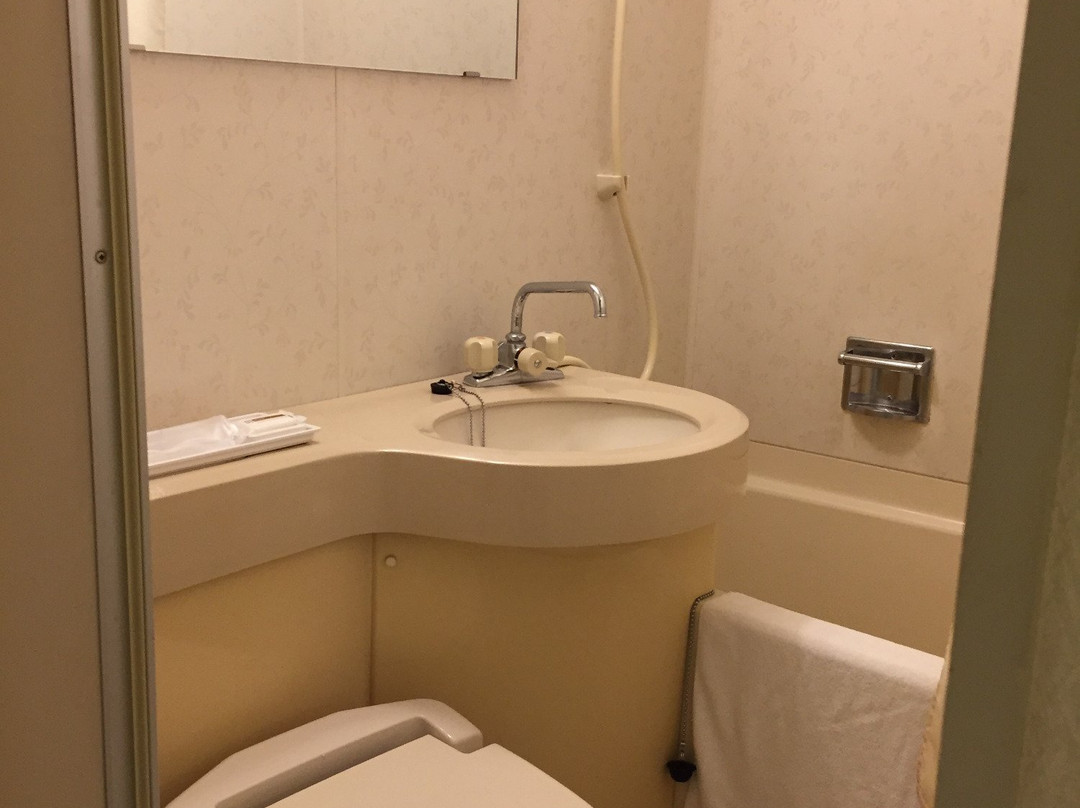 Higashi Matsuyama Daiichi hotel主图