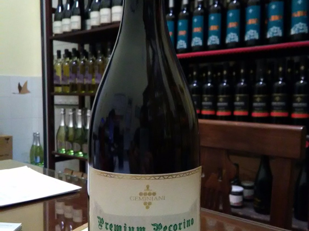 Casa Vinicola Geminiani景点图片