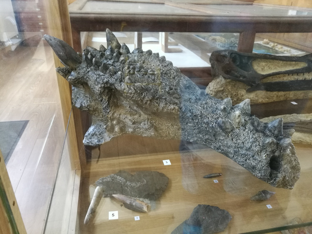 Reserve Naturelle Geologique de Saucats La Brede景点图片
