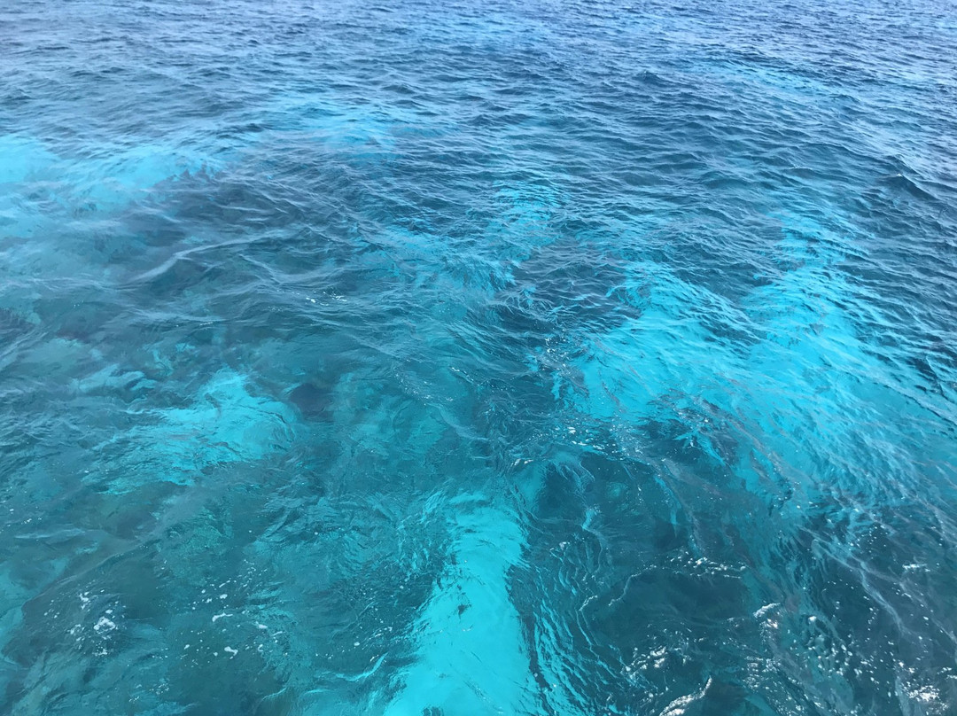 Happy Island (Tokashiki) - Day Tour-那霸市必去景点