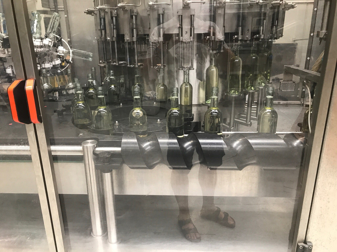 CABERT Cantina di Bertiolo景点图片