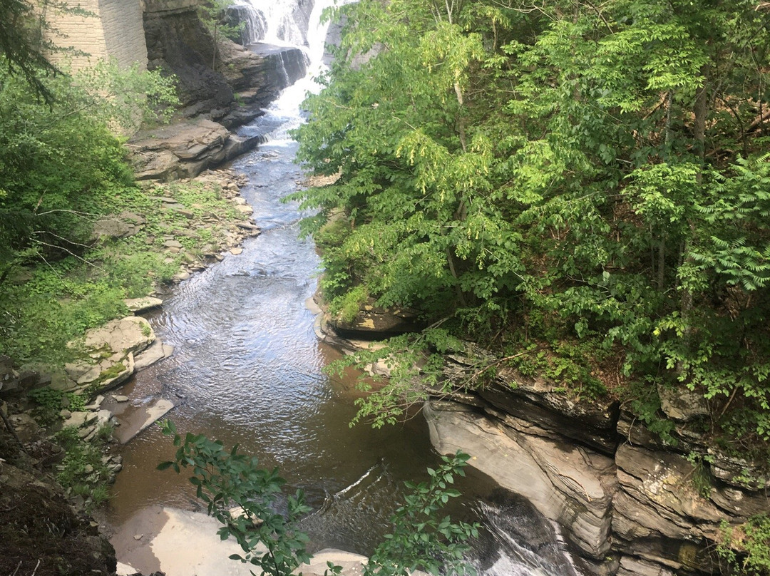 Mine Kill State Park-North Blenheim必去景点