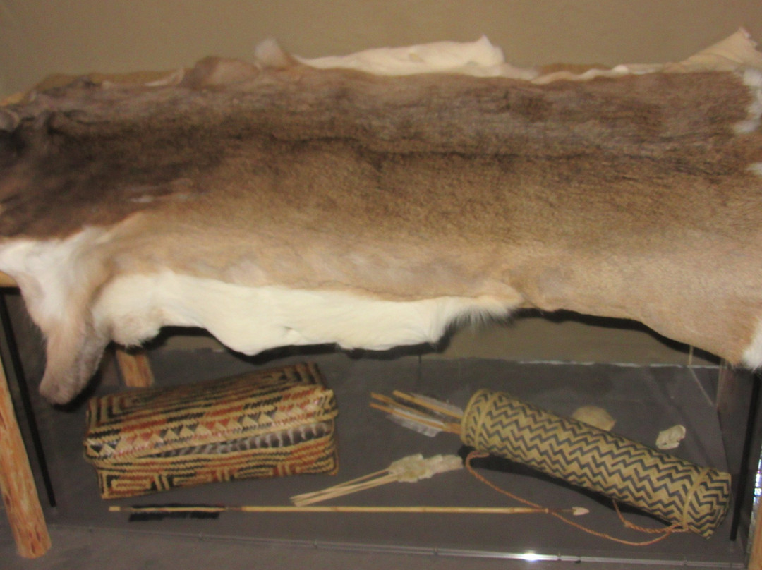 University of South Alabama Archaeology Museum-莫比尔必去景点