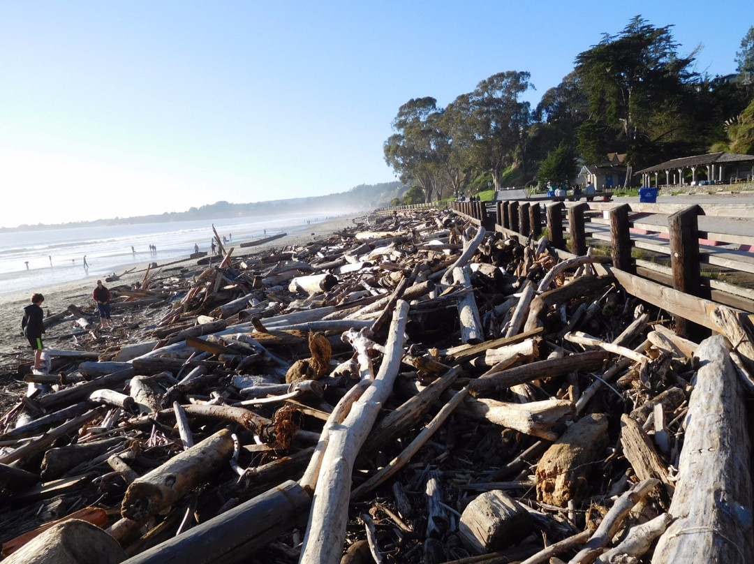 Rio Del Mar State Beach-阿普托斯必去景点