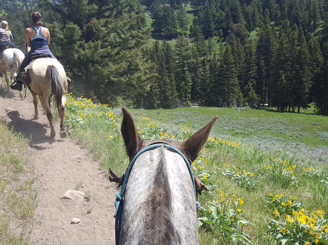 Specimen Creek Outfitters-加德纳必去景点