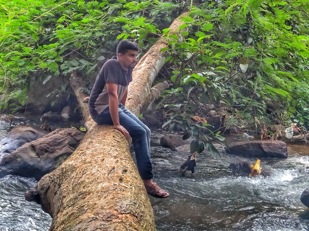 Aruvikkuzhi Waterfall景点图片