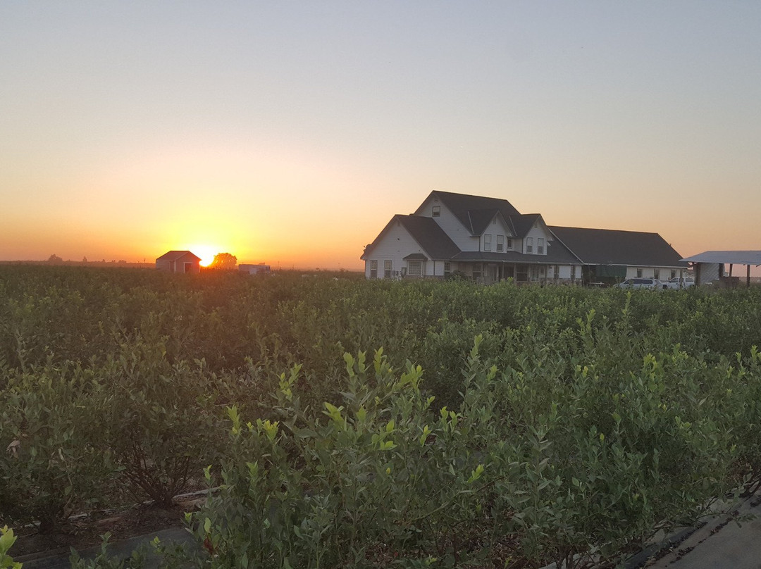 Tabitha Max Blueberry Farm-波特维尔必去景点