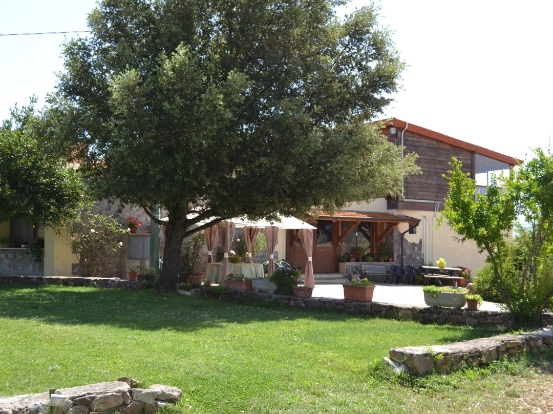 Oschiri餐馆和美食-Agriturismo Sa Pigalva