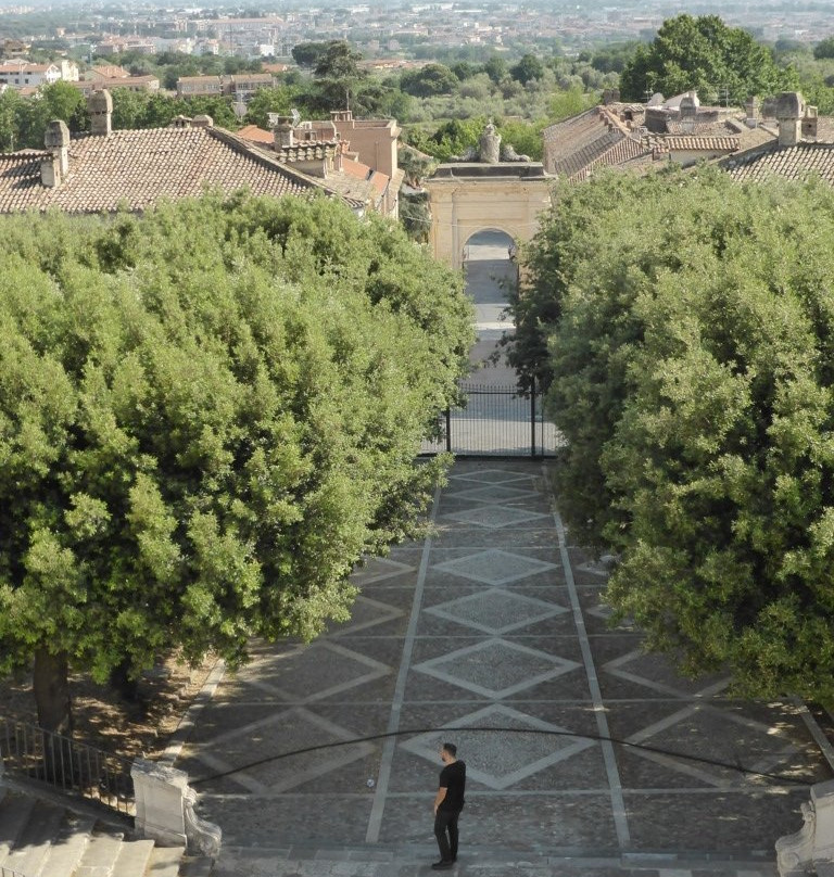 Arco Borbonico景点图片