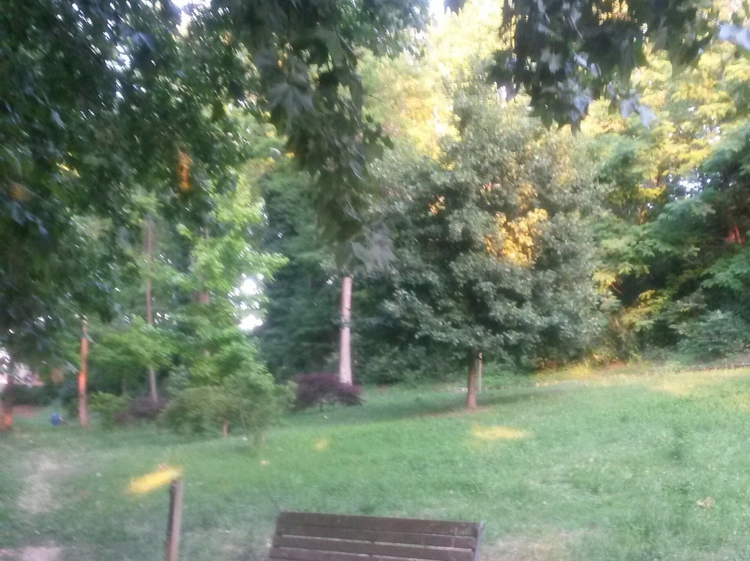 Parco Colline Moreniche di Castiglione景点图片