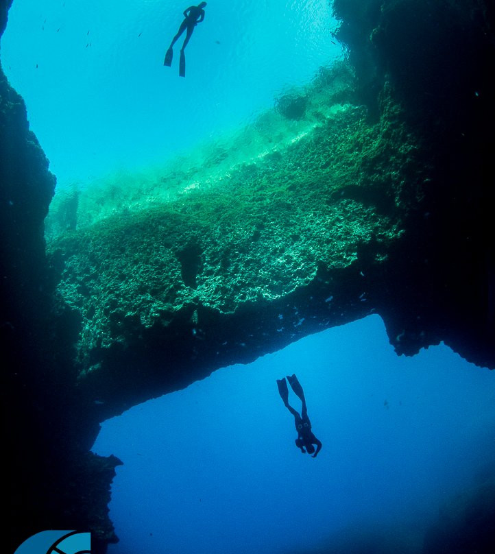 Oceanfoto-Victoria必去景点