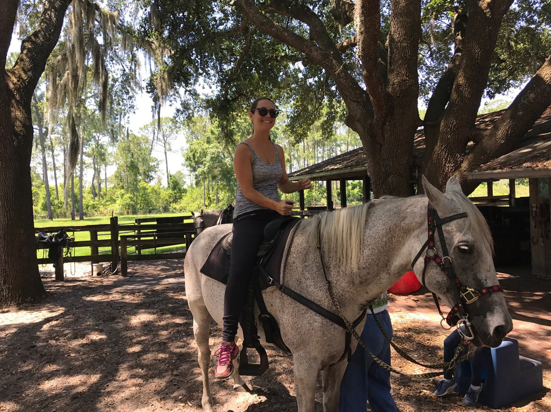 Horsespring Farm-莱克威尔士必去景点
