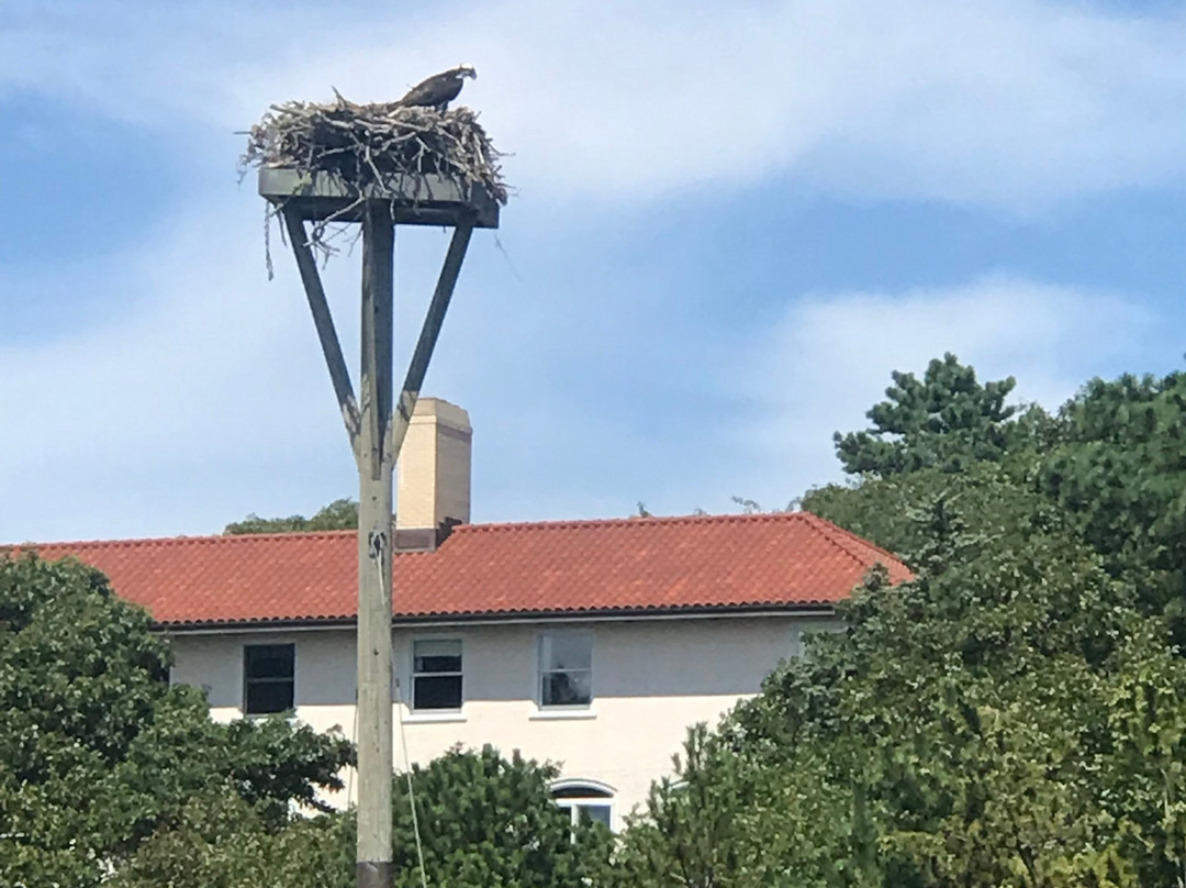 Cape Cod Kayak景点图片