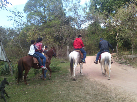 Niltze Bio Aventuras-Tonatico必去景点