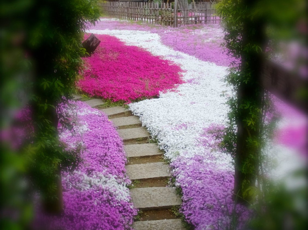 Kakumatsujyaku Memorial Museum-市川市必去景点