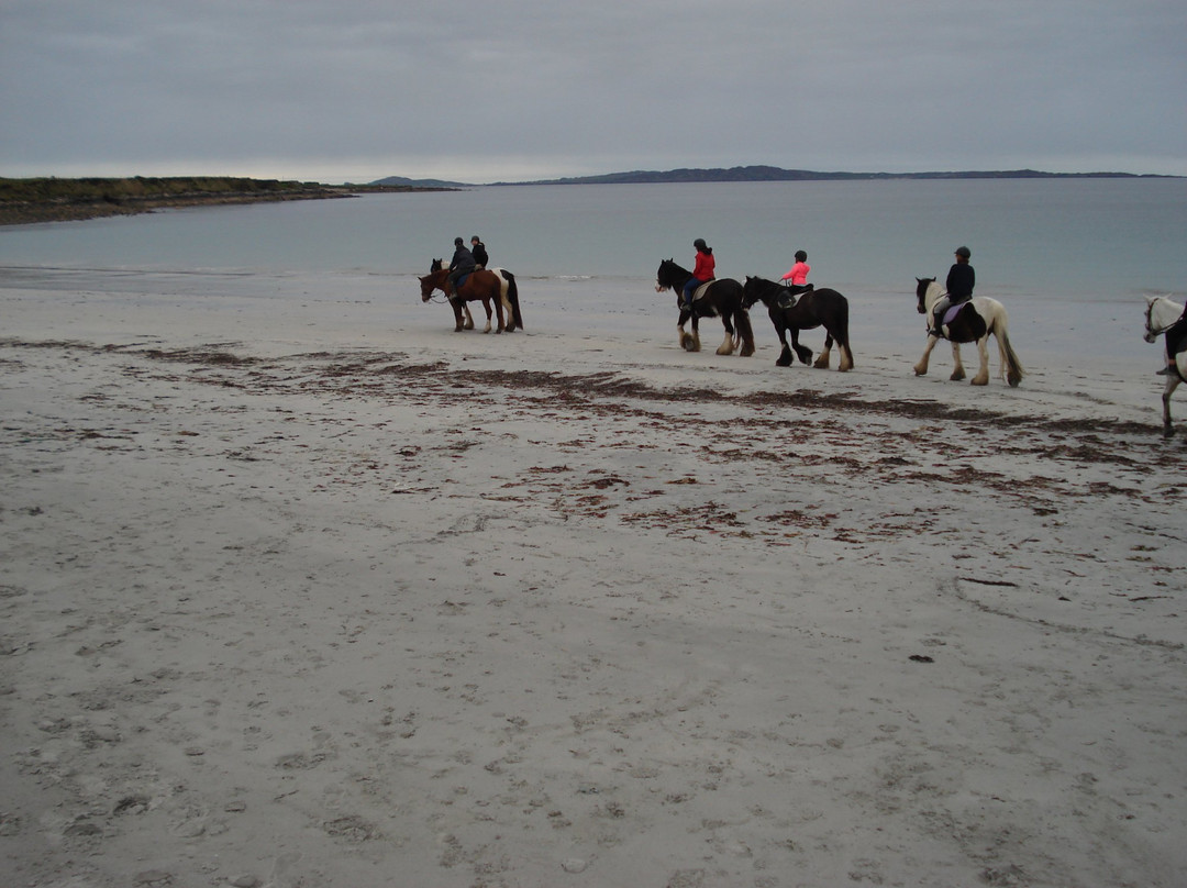 Cleggan Beach Riding Centre景点图片