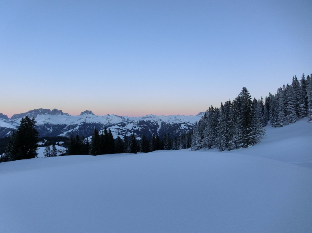 Abenteuerreich Erlebnistouren景点图片