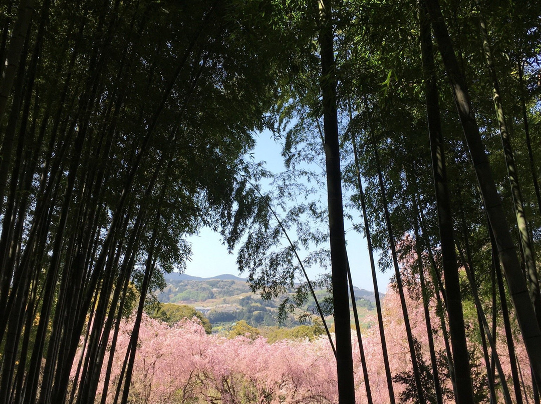 Araijoshi Park-真鹤町必去景点