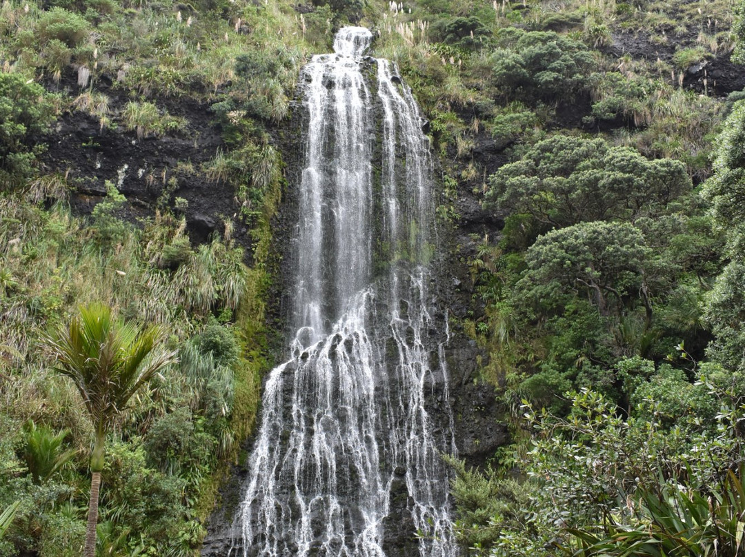 Oh Yeah Tours-皮哈海滩必去景点