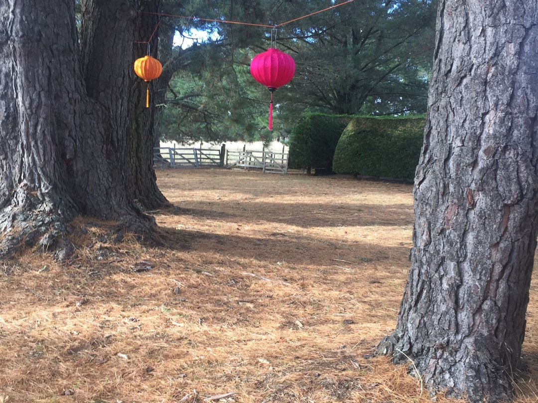 Maze House-Newlyn必去景点