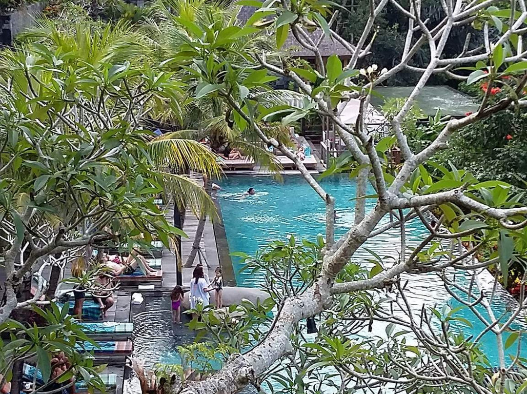 Bali Best Travels-佩艳艮必去景点