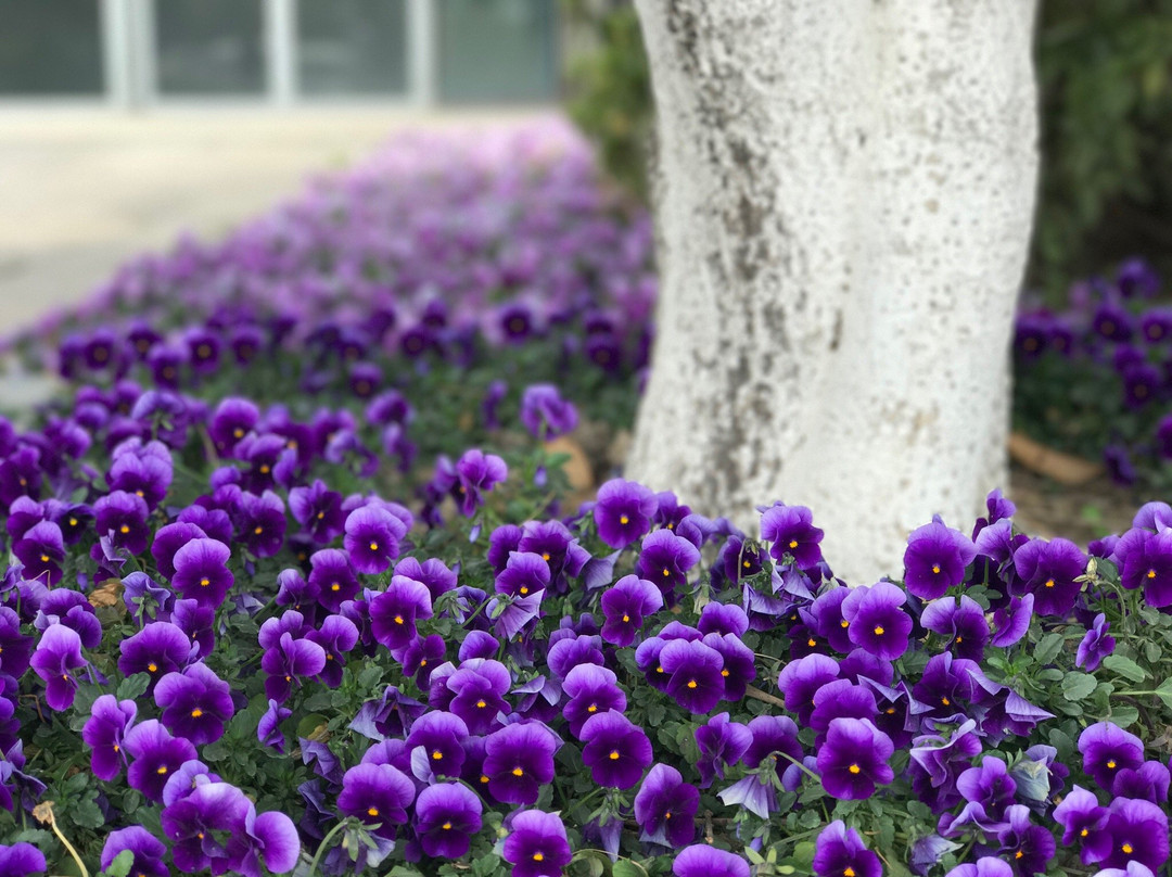 绿博园-南京市必去景点