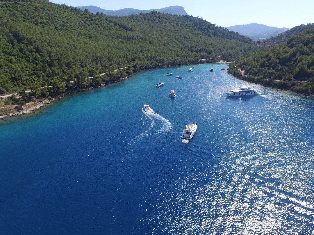 NIS Yachting景点图片