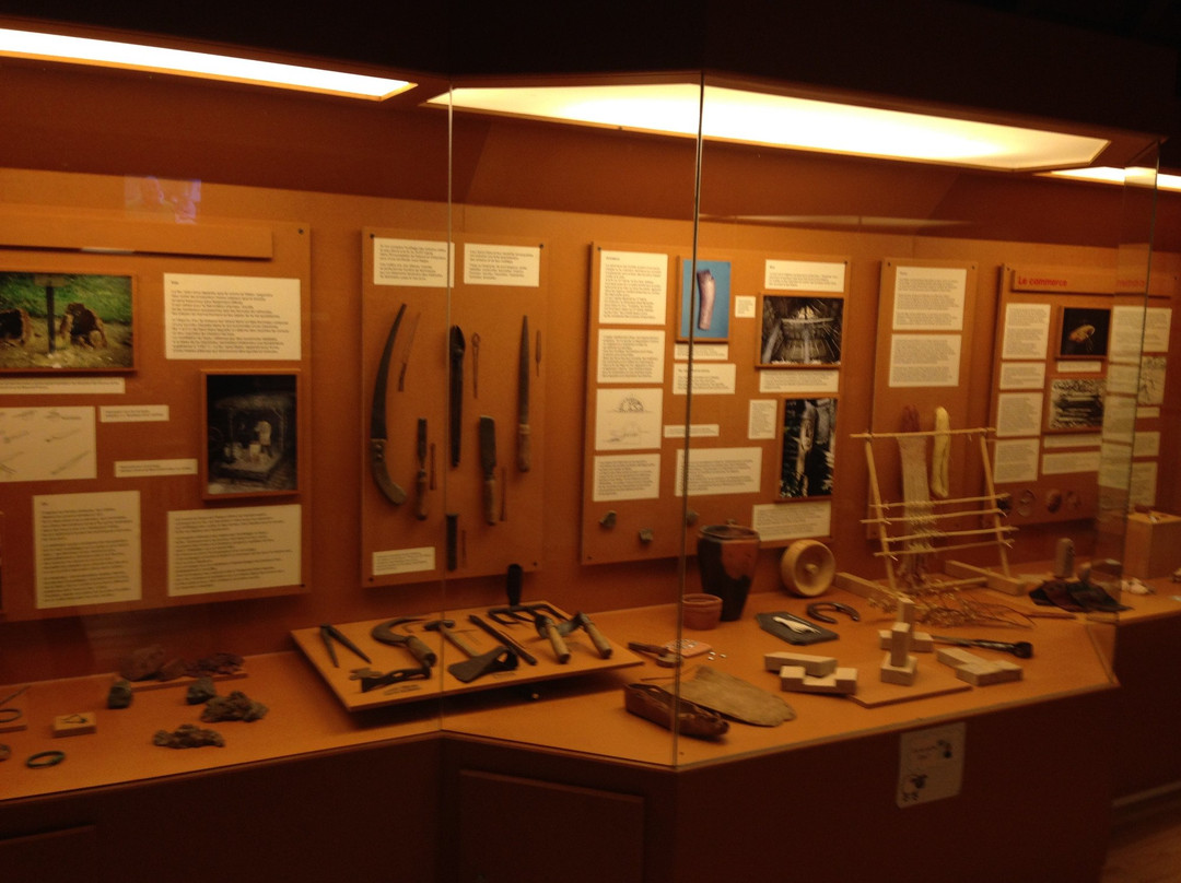 Musée des Celtes景点图片