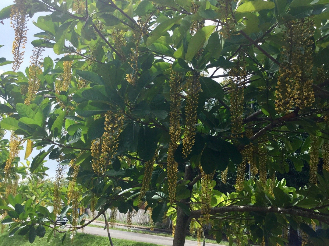 Parque da Maternidade-Rio Branco必去景点