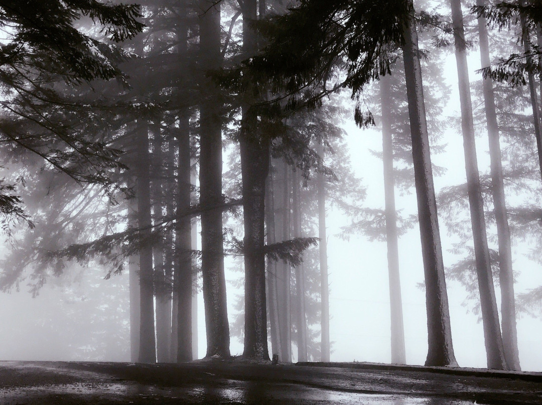 Bald Peak State Park-希尔斯伯勒必去景点