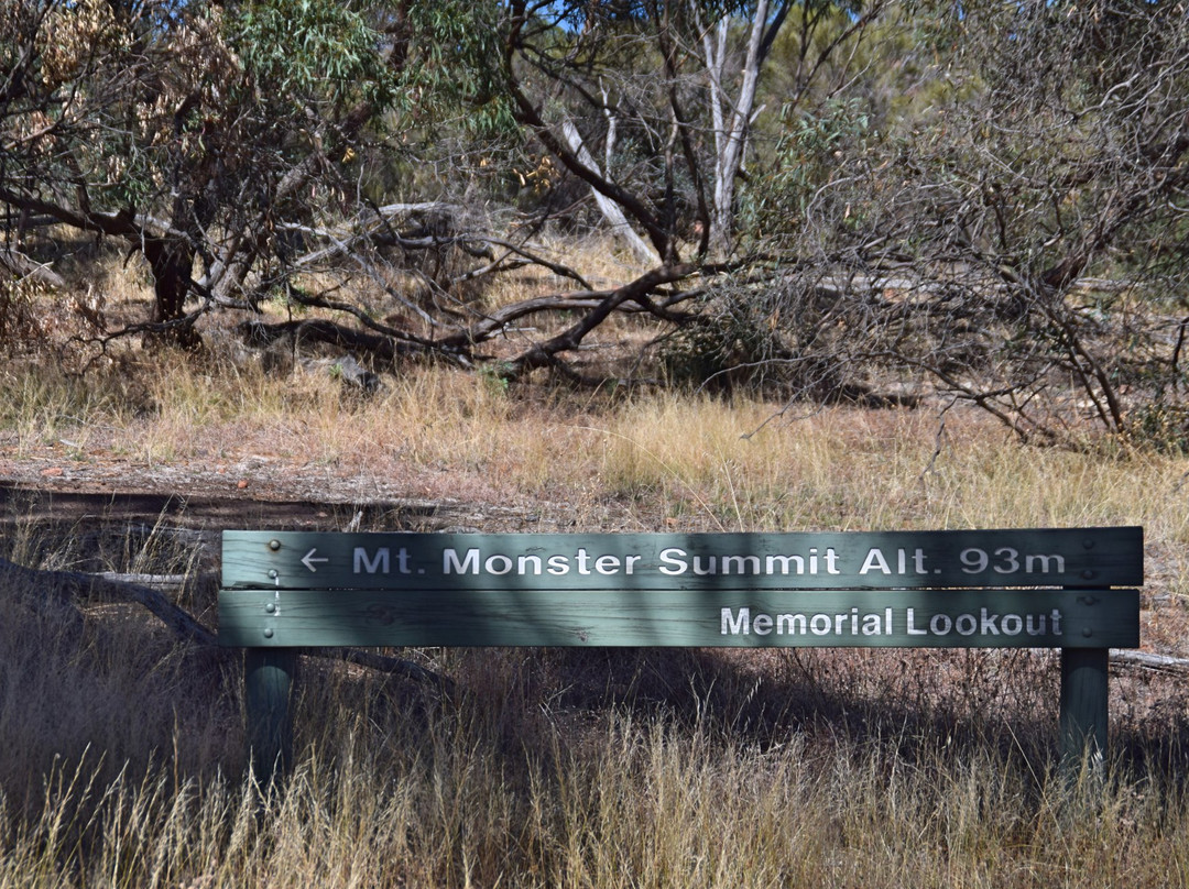 Mt Monster Conservation Park-Keith必去景点