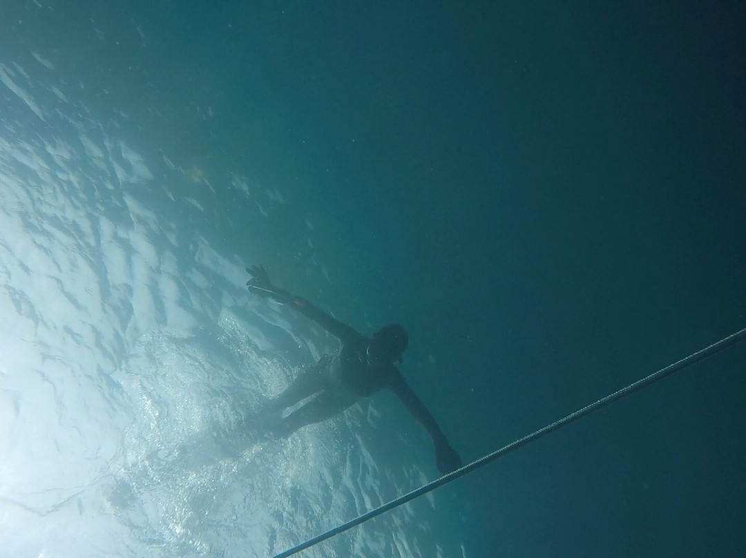 Freedive Blue Marine-Gili Air必去景点