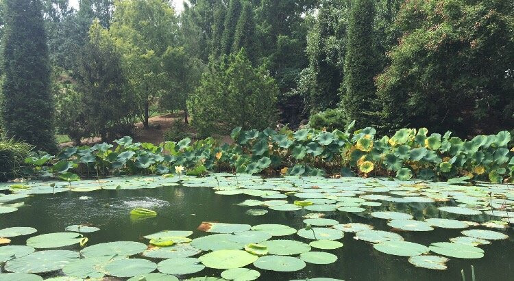 Mission Oaks Gardens-Zanesville必去景点