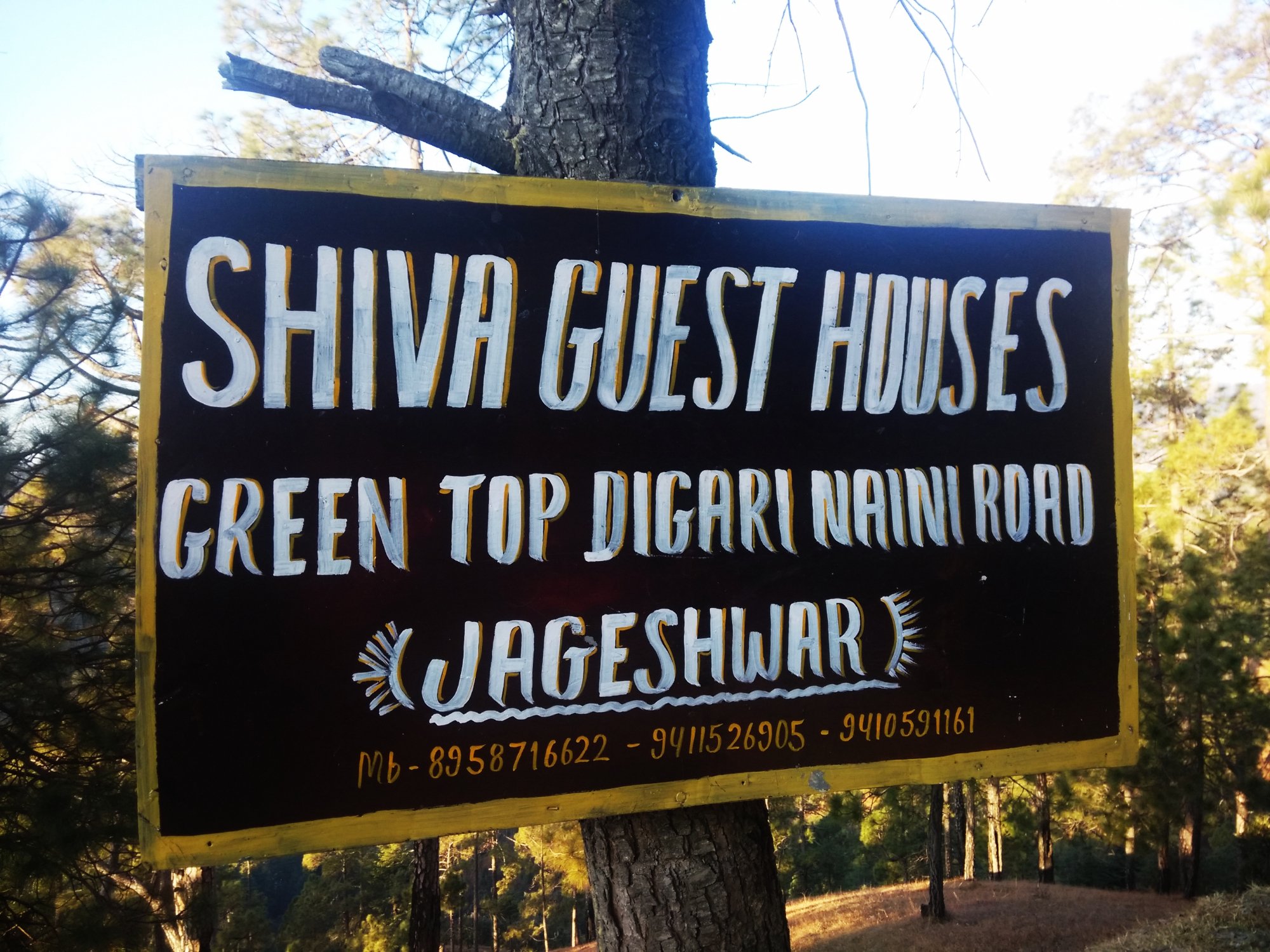 Shiva Guest House-官方