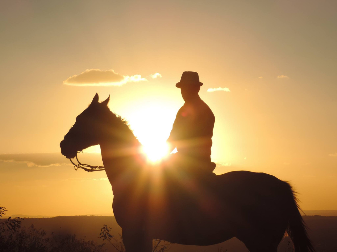 Solanea旅游攻略图片