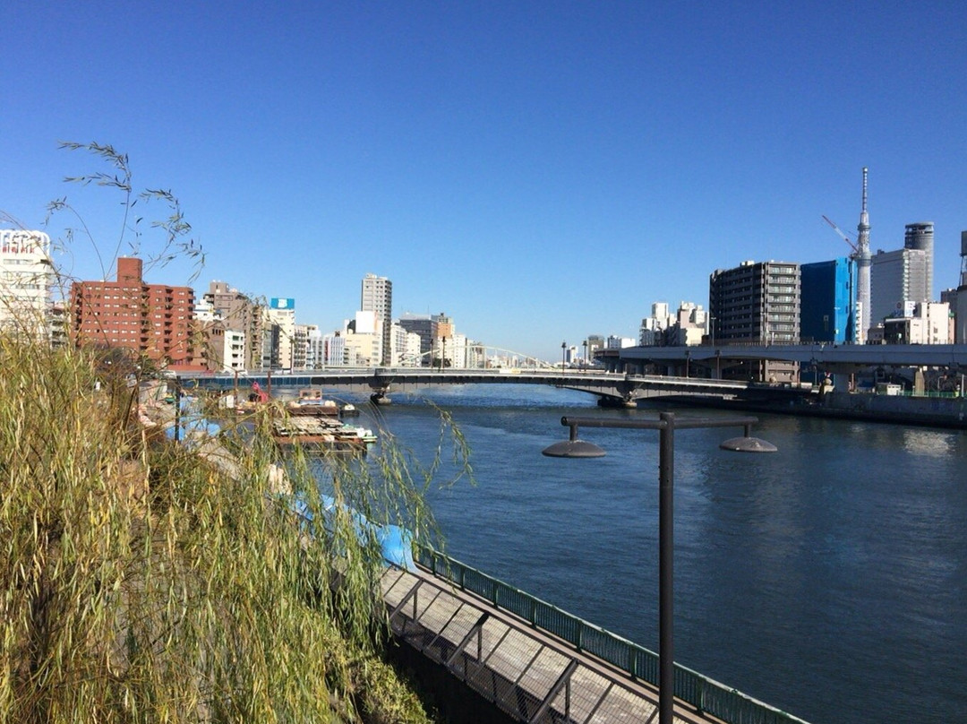 Ryogoku Bridge景点图片