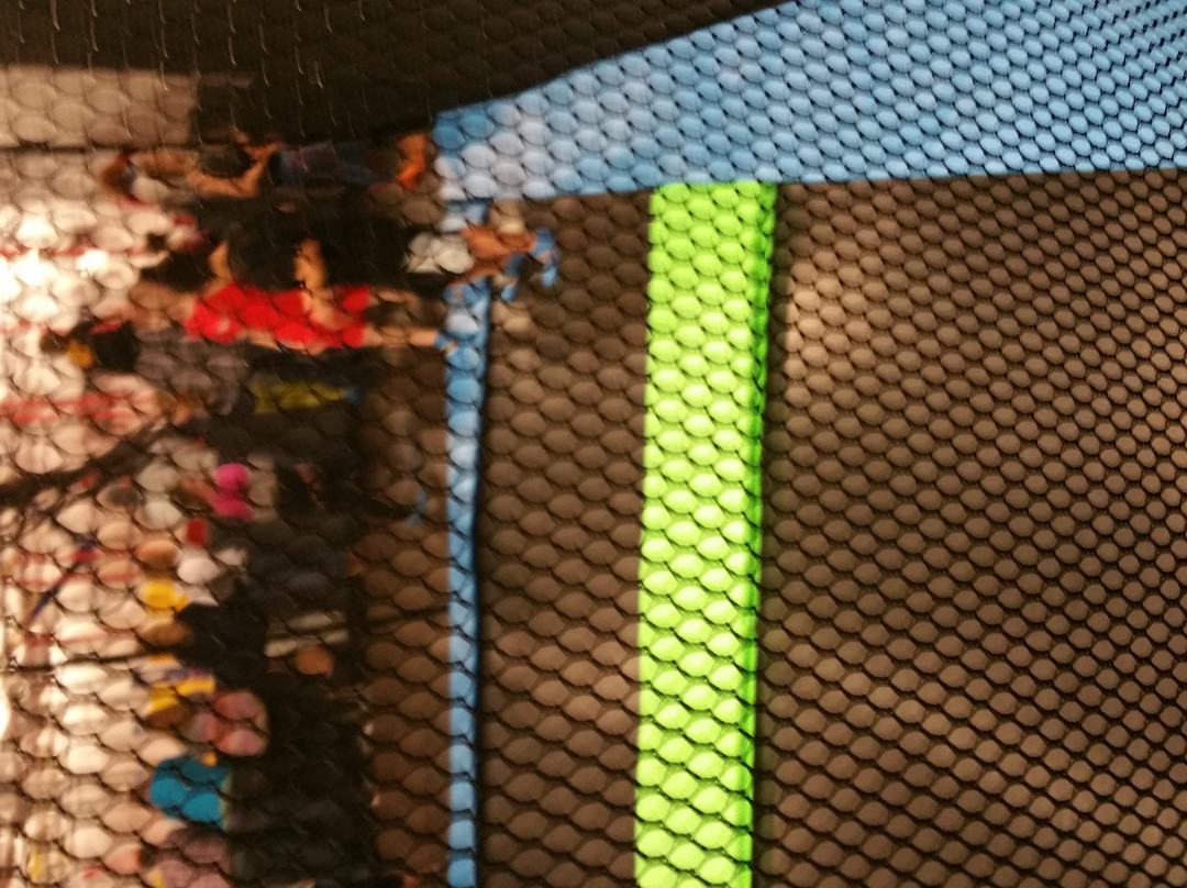 Flight Trampoline Park-Bridgeville必去景点