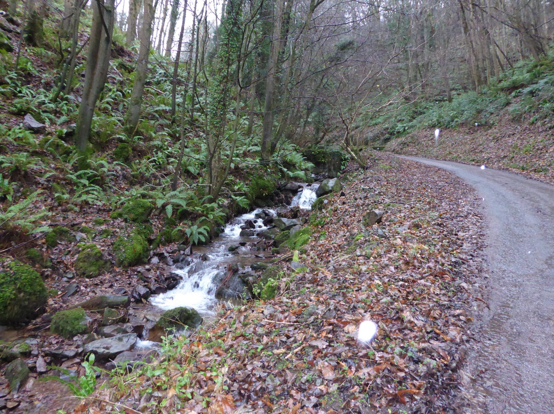 Porlock Scenic Toll Road景点图片