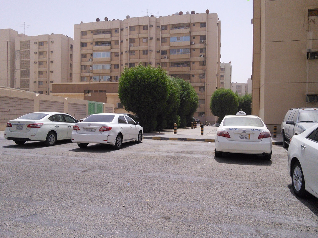 Shaikh Mohammad bin Ibrahim Masjid-胡拜尔必去景点