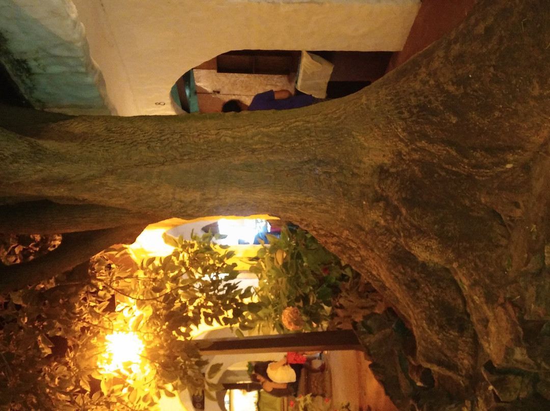 Paseo de la Pasiva-Piriapolis必去景点